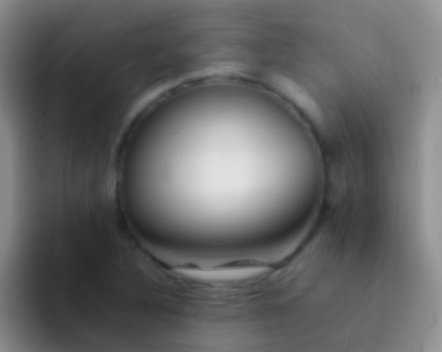 X0000092071316200709262039