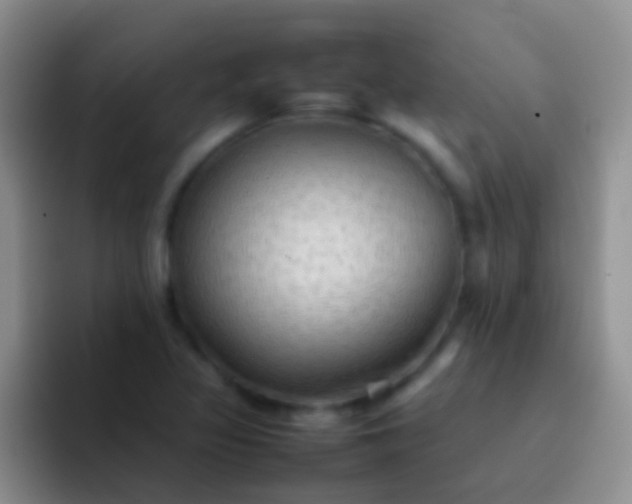X0000092071317200709262039