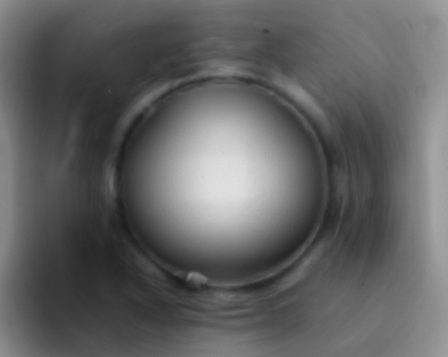 X0000092071318200709262039