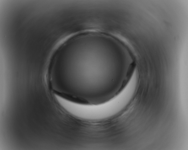X0000092071319200709262039