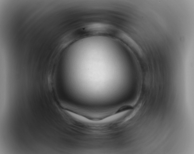 X0000092071321200709262039