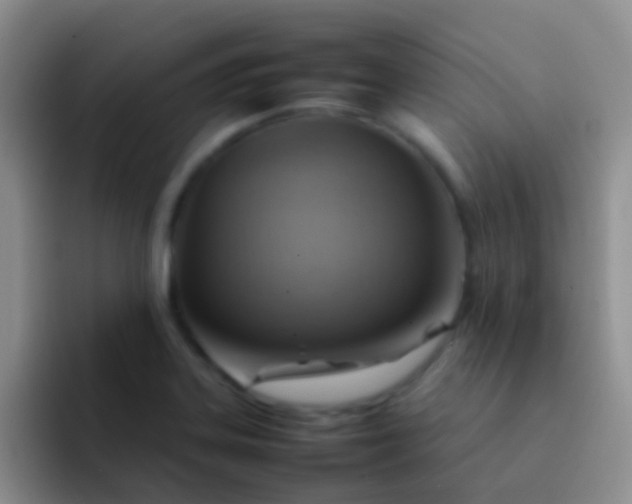 X0000092071323200709262039