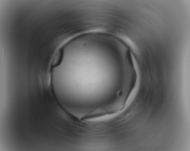 X0000092071324200709262039