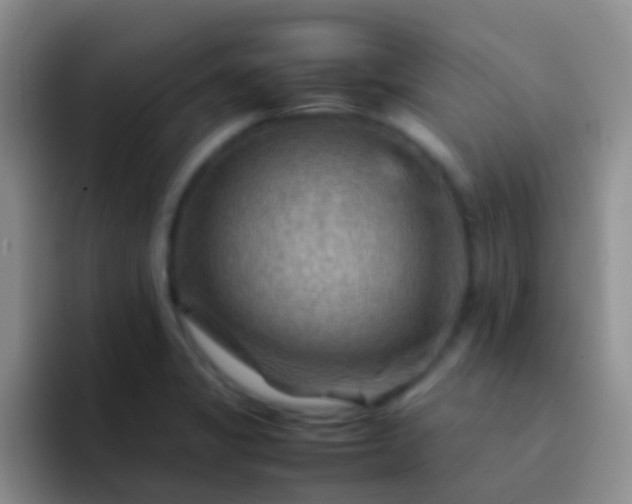 X0000092071325200709262039
