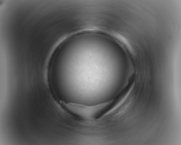 X0000092071326200709262039