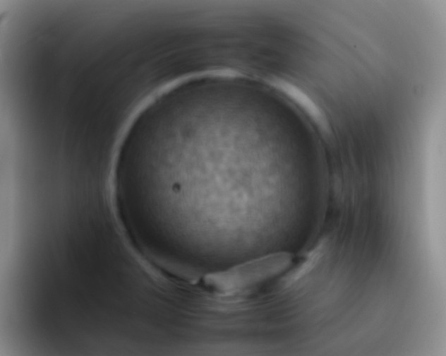 X0000092071327200709262039