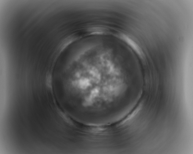 X0000092071329200709262039