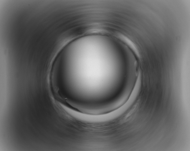 X0000092071330200709262039