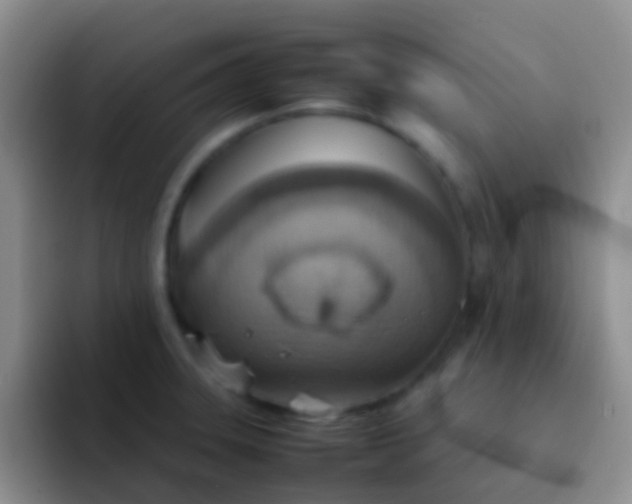 X0000092071331200709262039