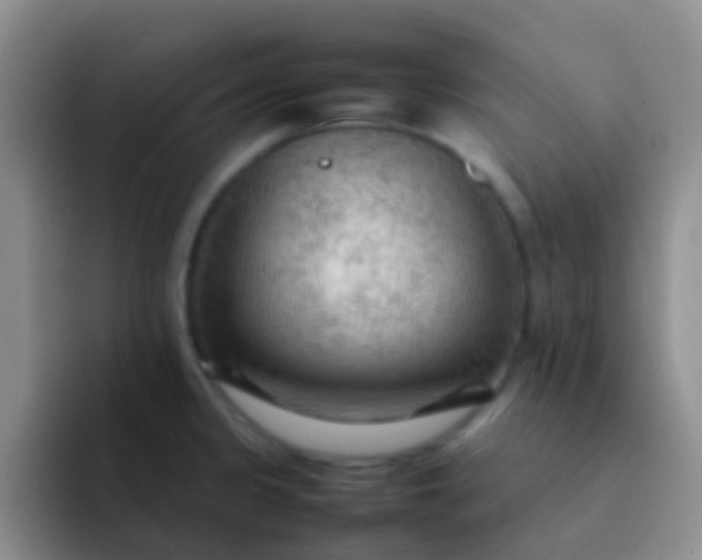X0000092071333200709262039