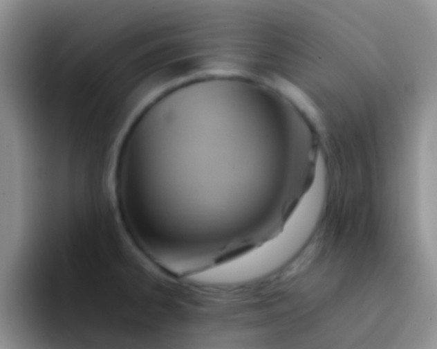 X0000092071334200709262039