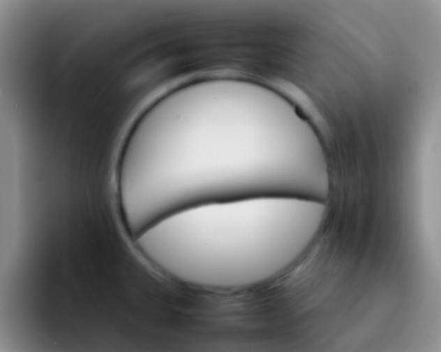 X0000092071335200709262039