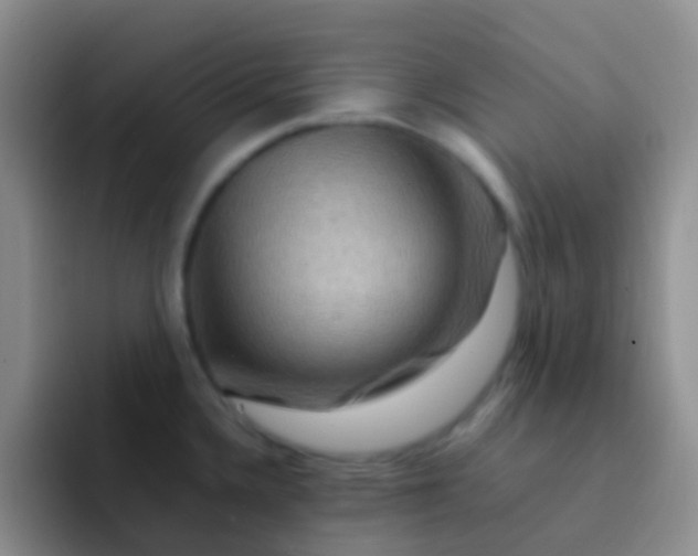 X0000092071336200709262039