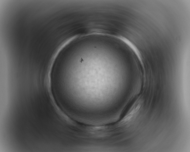 X0000092071341200709262039