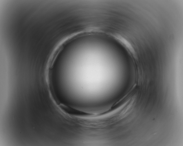 X0000092071342200709262039