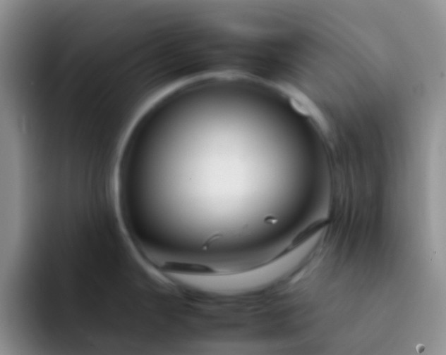 X0000092071343200709262039