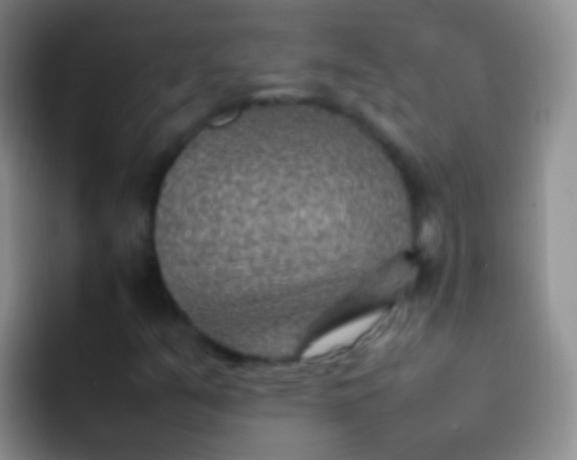 X0000092071351200709262038