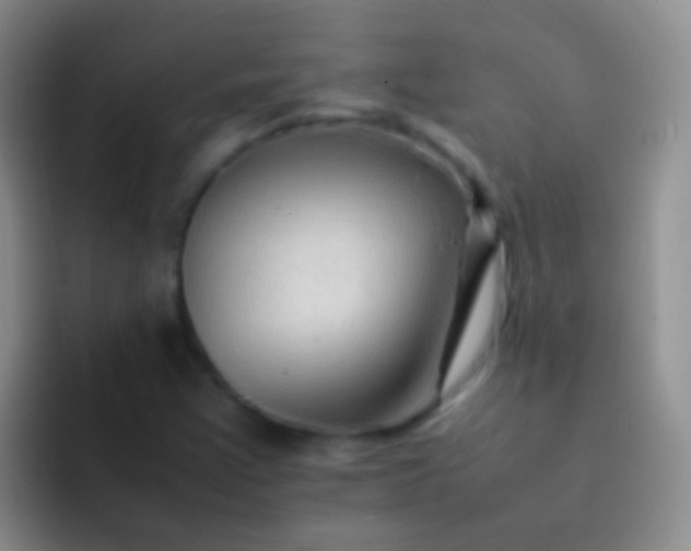 X0000092071355200709262038