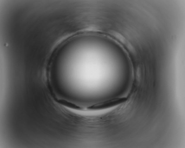 X0000092071356200709262038