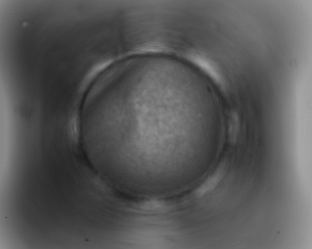 X0000092071358200709262038