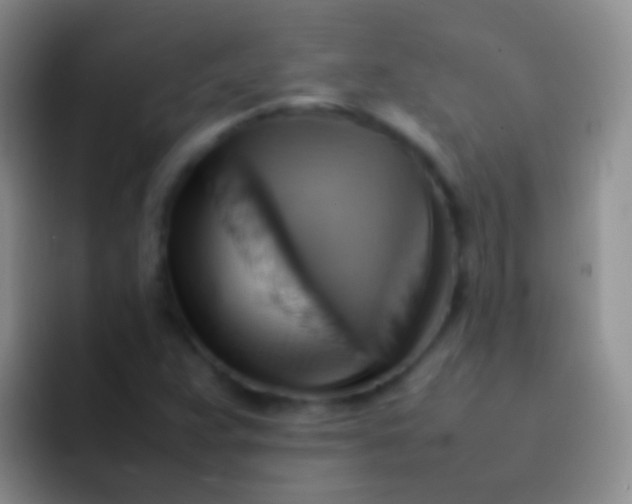 X0000092071359200709262038
