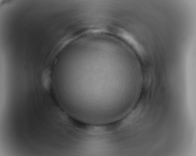 X0000092071361200709262038