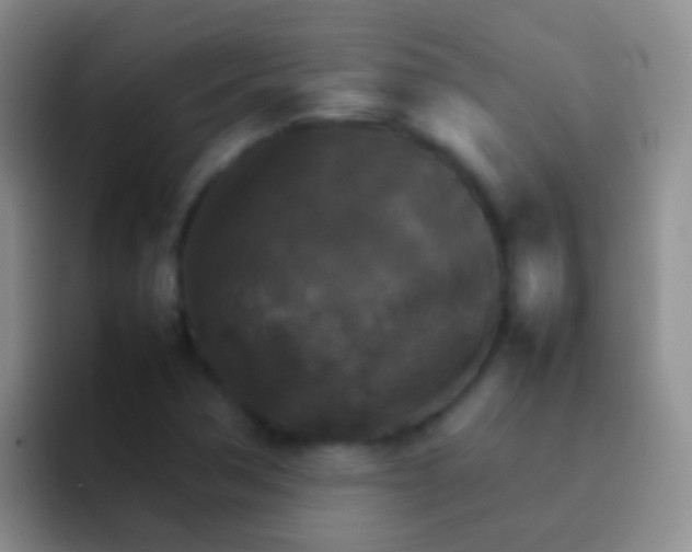 X0000092071362200709262038