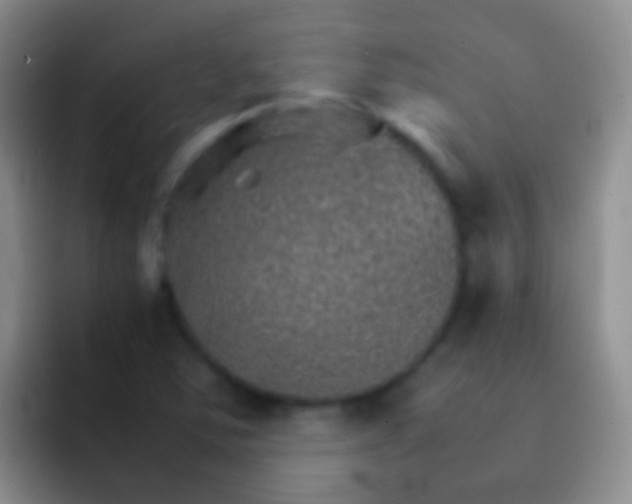 X0000092071363200709262038