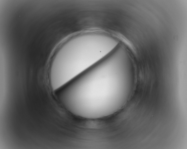 X0000092071364200709262038