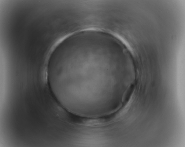 X0000092071367200709262038