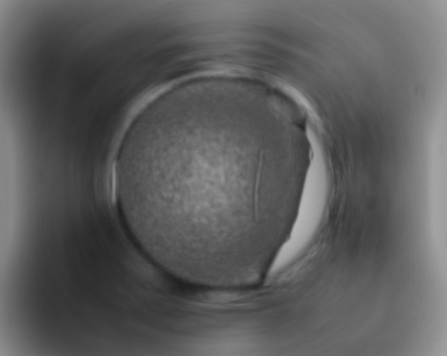 X0000092071371200709262038