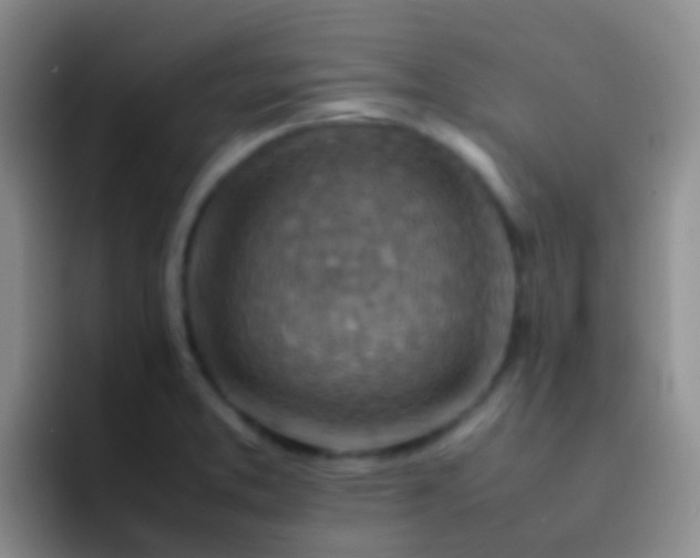 X0000092071373200709262038