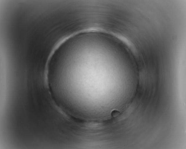 X0000092071374200709262038