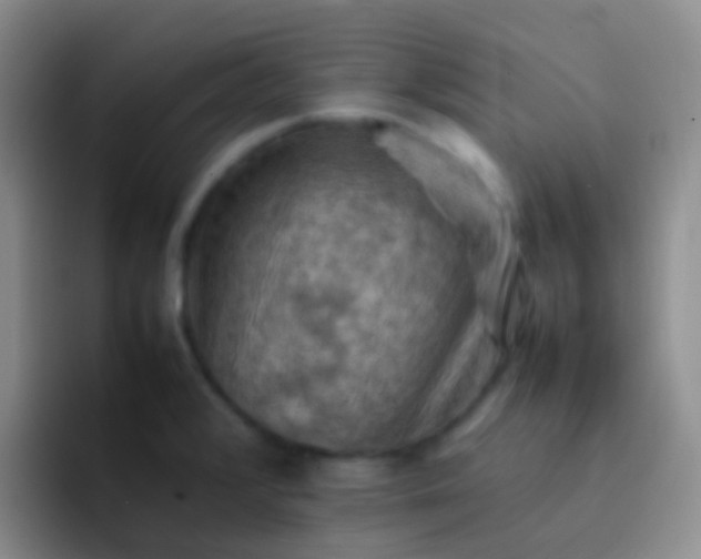 X0000092071376200709262038