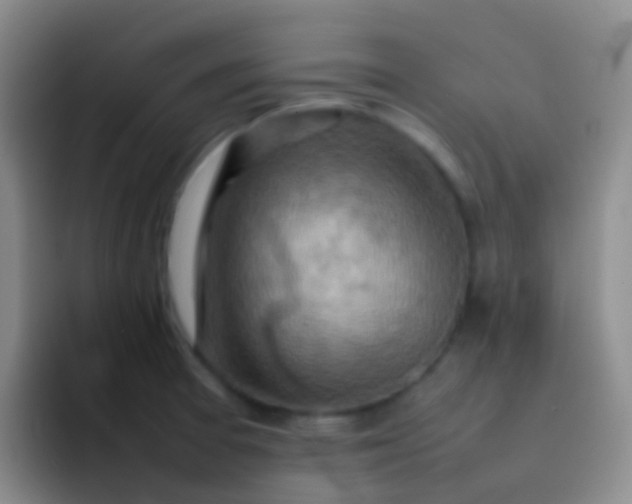 X0000092071377200709262038