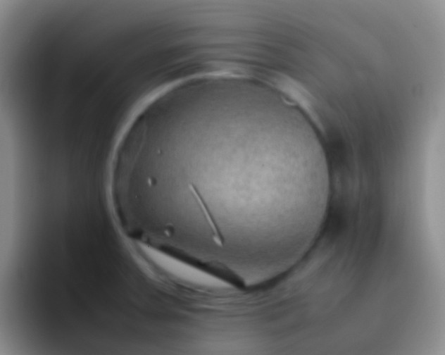 X0000092071379200709262038