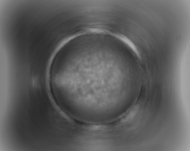 X0000092071381200709262038