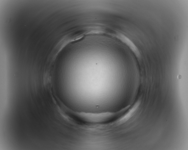 X0000092071385200709262038