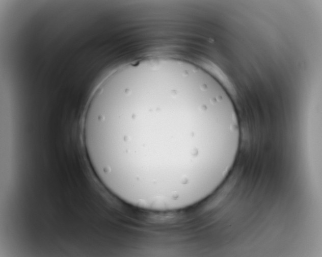X0000092071386200709262038