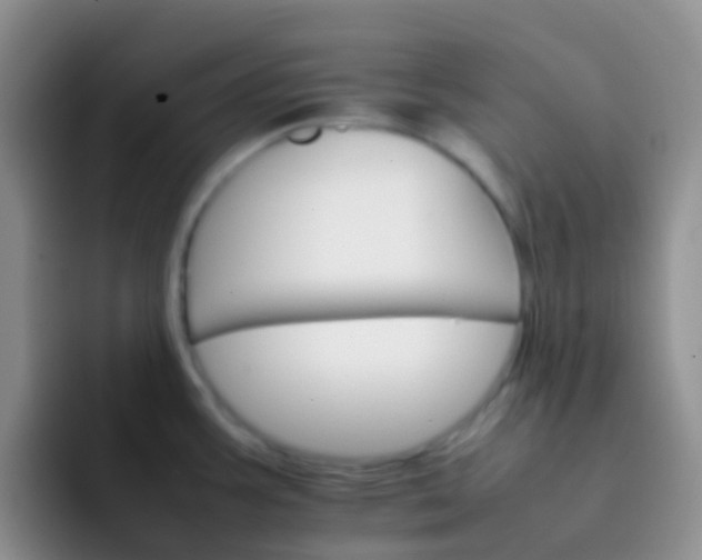 X0000092071387200709262038