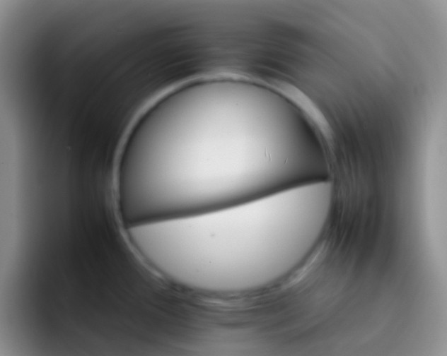 X0000092071388200709262038