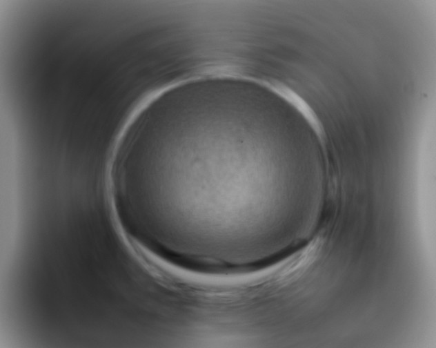 X0000092071389200709262038