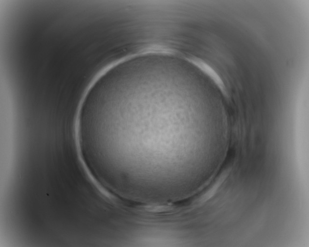 X0000092071391200709262038