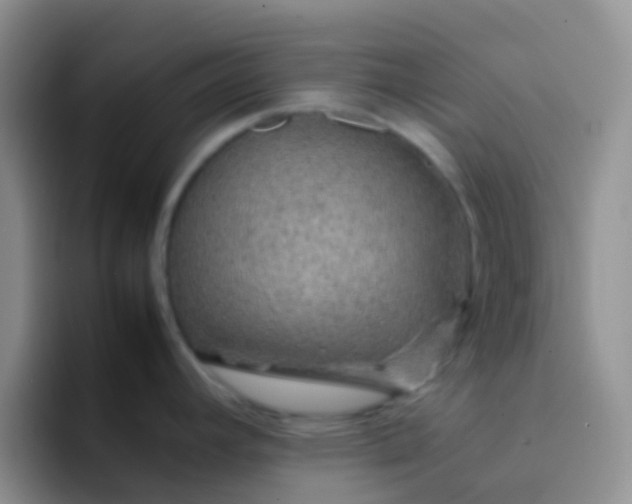 X0000092071392200709262038