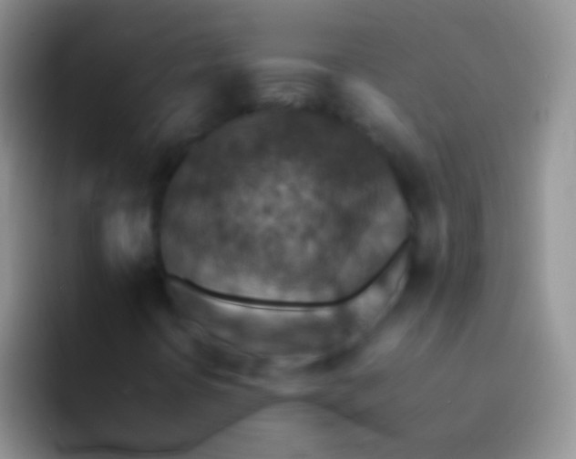X0000092071394200709262037
