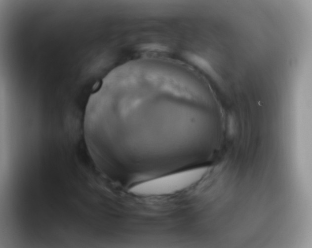 X0000092071399200709262037