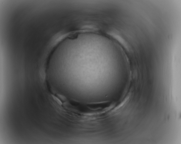 X0000092071407200709262037