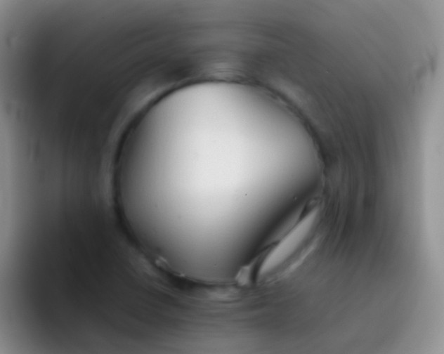 X0000092071410200709262037
