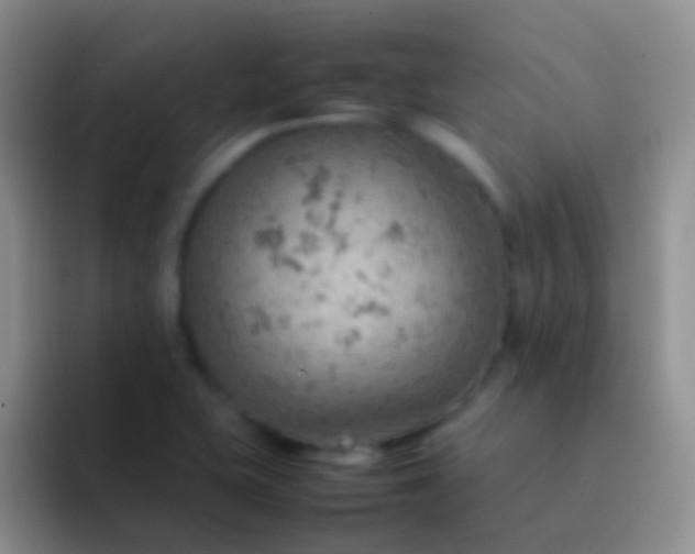 X0000092071415200709262038