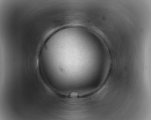 X0000092071416200709262038